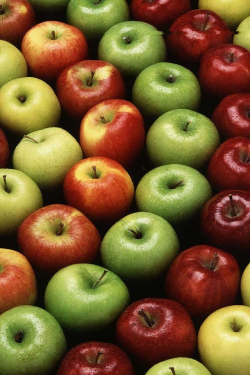 Apple Picking