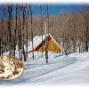 Sugar Cabin